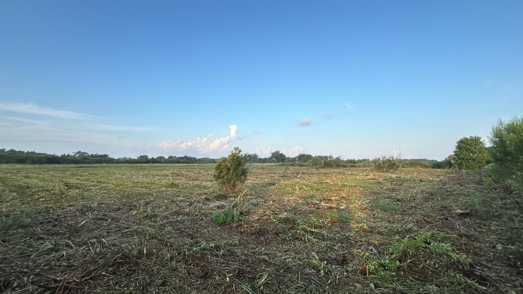 15790 NW 284TH Street, Okeechobee FL 34972 photo 4