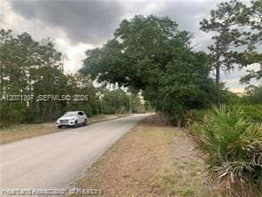 615 Wildflower Street, Lake Placid FL 33852 photo 5