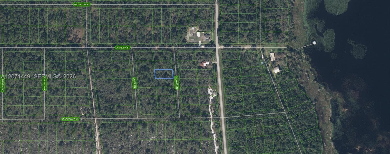 722 Ronnie Lane, Lake Placid FL 33852 photo 2