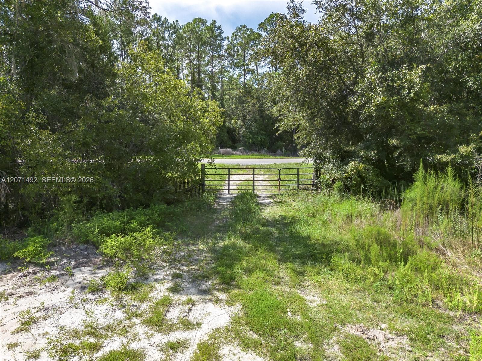 1369 Water Oak, Other City - In The State Of Florida FL 32110 photo 2