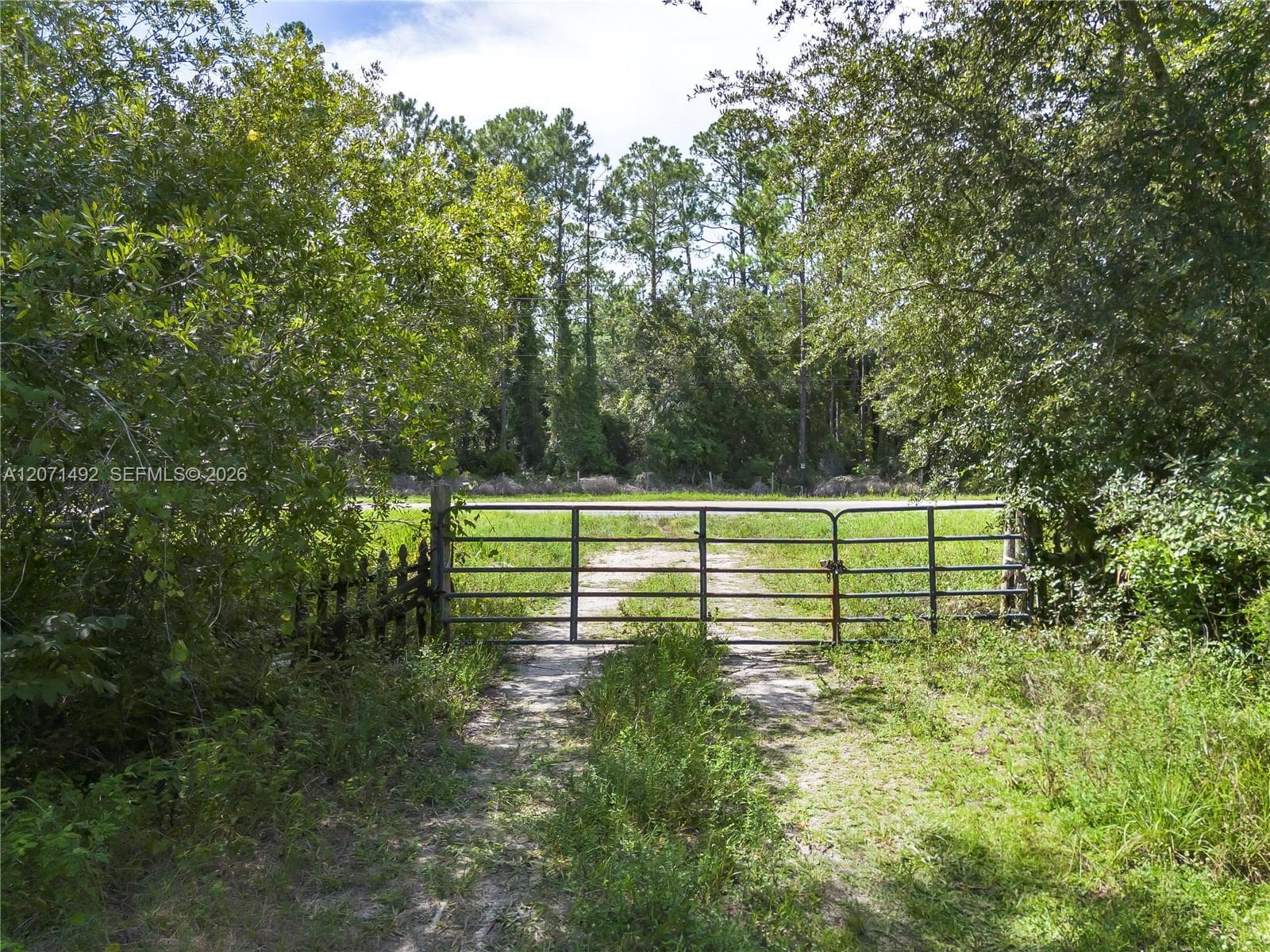 1369 Water Oak, Other City - In The State Of Florida FL 32110 photo 5