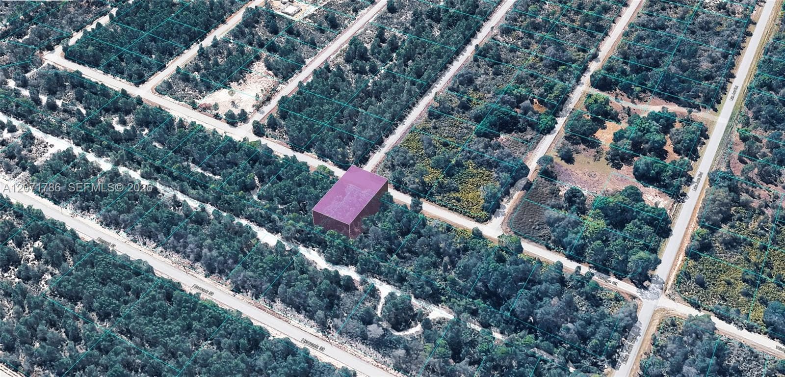 953 RIDGE ST, Lake Placid FL 33852 photo 4