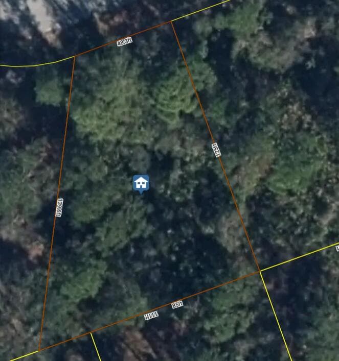 456 Bonnie Road NW, Lake Placid FL 33852 photo 3