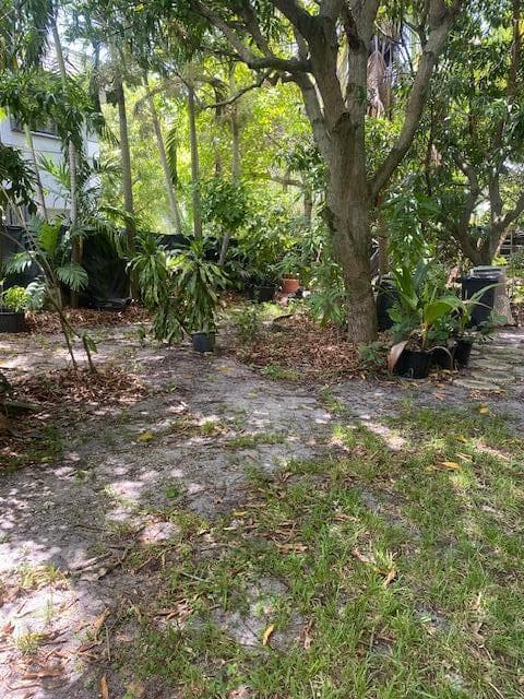 425 NW 7TH, Fort Lauderdale FL 33311 photo 4