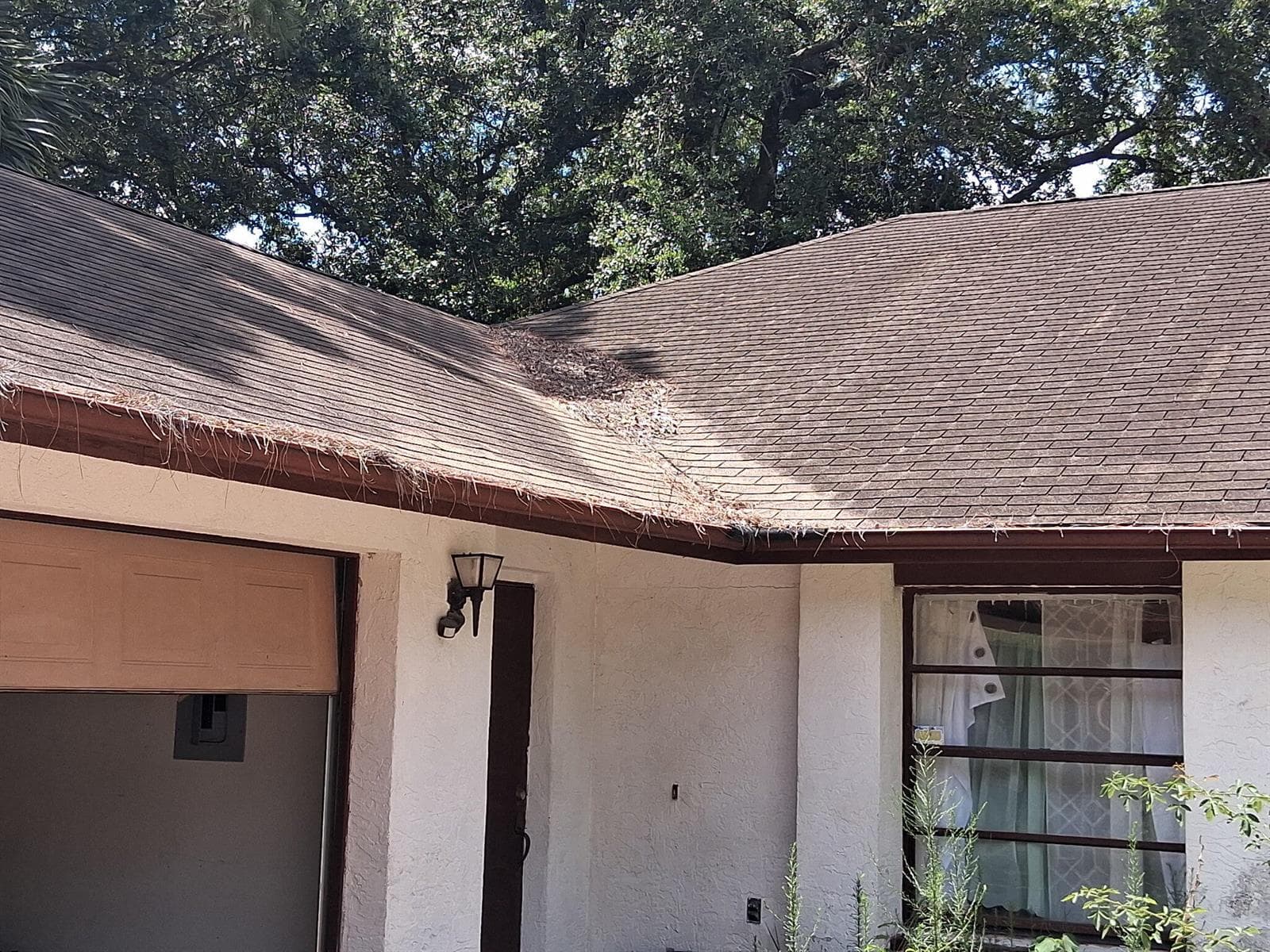 230 PEAKE Street NE, Palm Bay FL 32907 photo 3