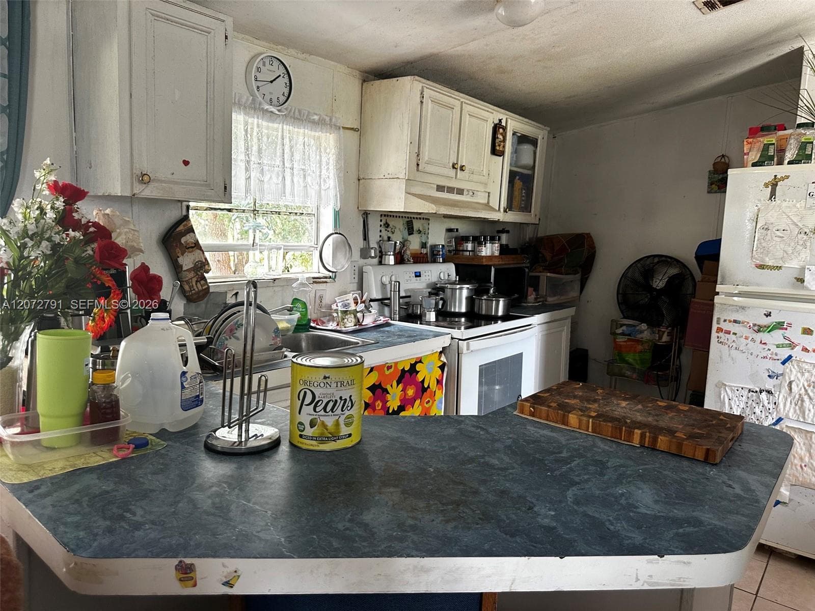 635 N FRONDA, Clewiston FL 33440 photo 5