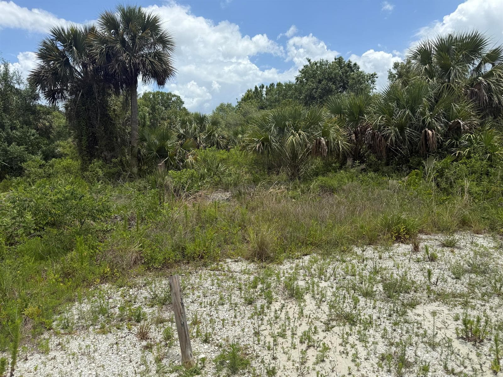 14788 NW 272ND Street, Okeechobee FL 34972 photo 2