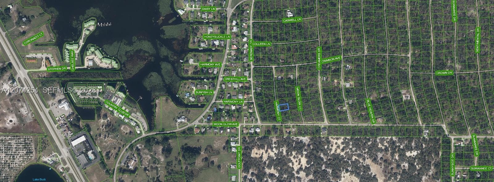 209 Harmony Court, Lake Placid FL 33852 photo 3