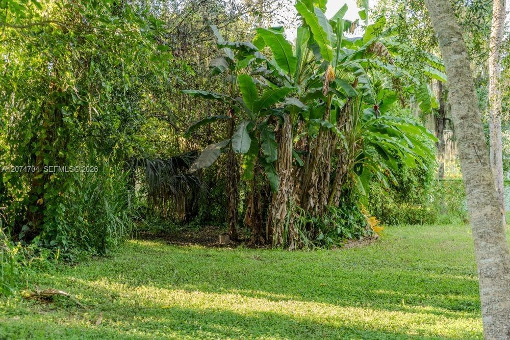 780 Washington Ave., La Belle FL 33935 photo 4