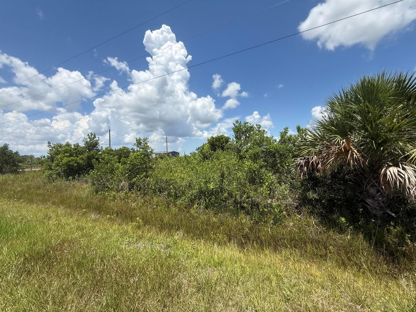 16061 NW 264TH Street, Okeechobee FL 34972 photo 2