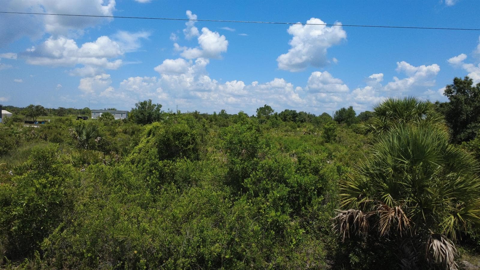 16061 NW 264TH Street, Okeechobee FL 34972 photo 3
