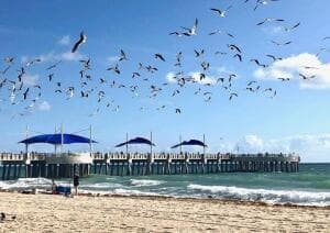 1012 N OCEAN Boulevard # 802, Pompano Beach FL 33062 photo 2