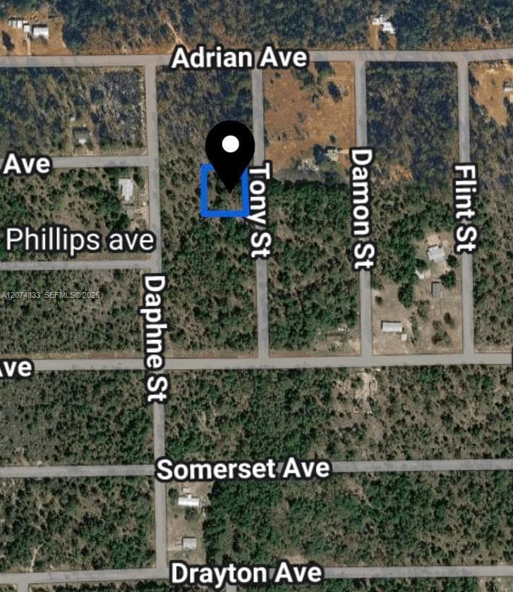 0 TOBY ST, Palatka FL 32148 photo 2