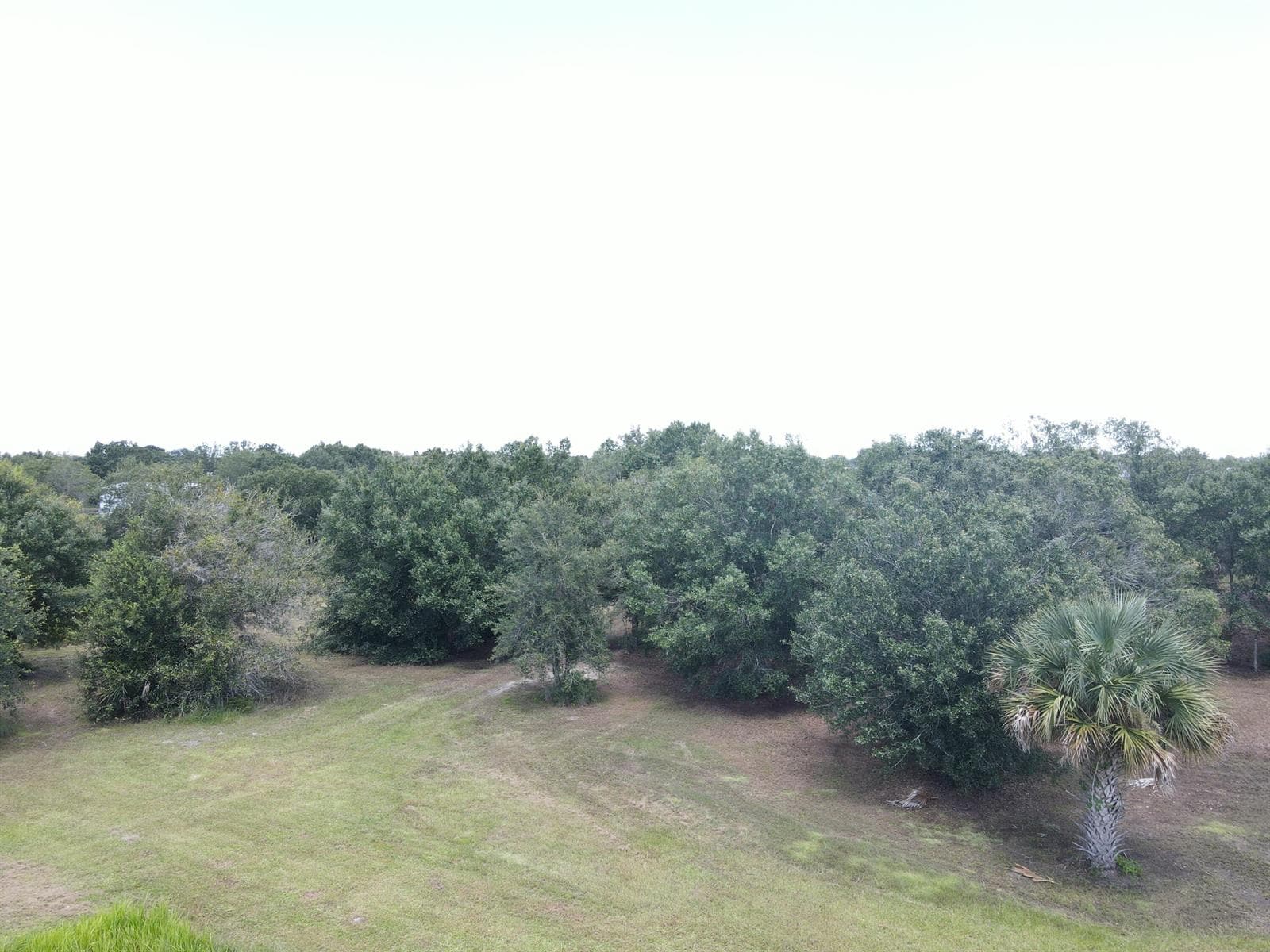 14771 NW 262ND Street, Okeechobee FL 34972 photo 3