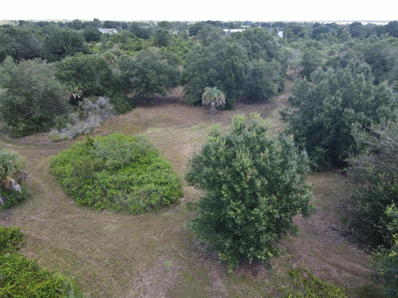 14771 NW 262ND Street, Okeechobee FL 34972 photo 4