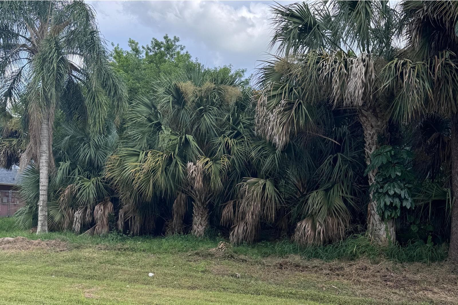 908 SW BAY STATE Road, Port St. Lucie FL 34953 photo 3
