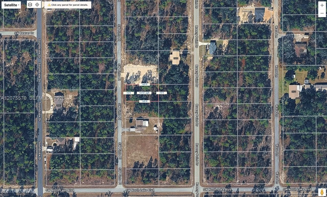 TBD SW SW PINTO PL, Ocala FL 34431 photo 4
