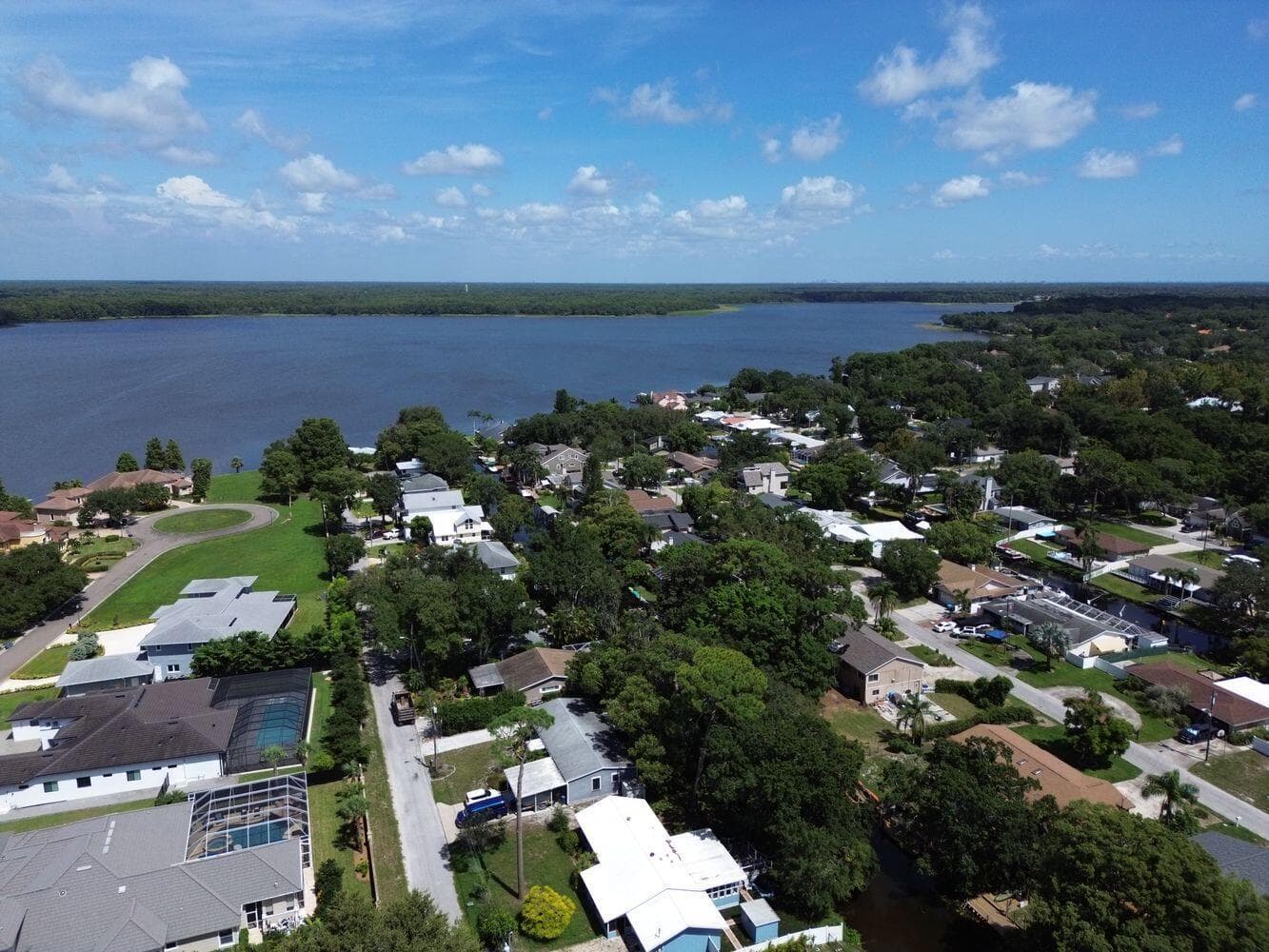3363 MARION Drive, Palm Harbor FL 34684 photo 4