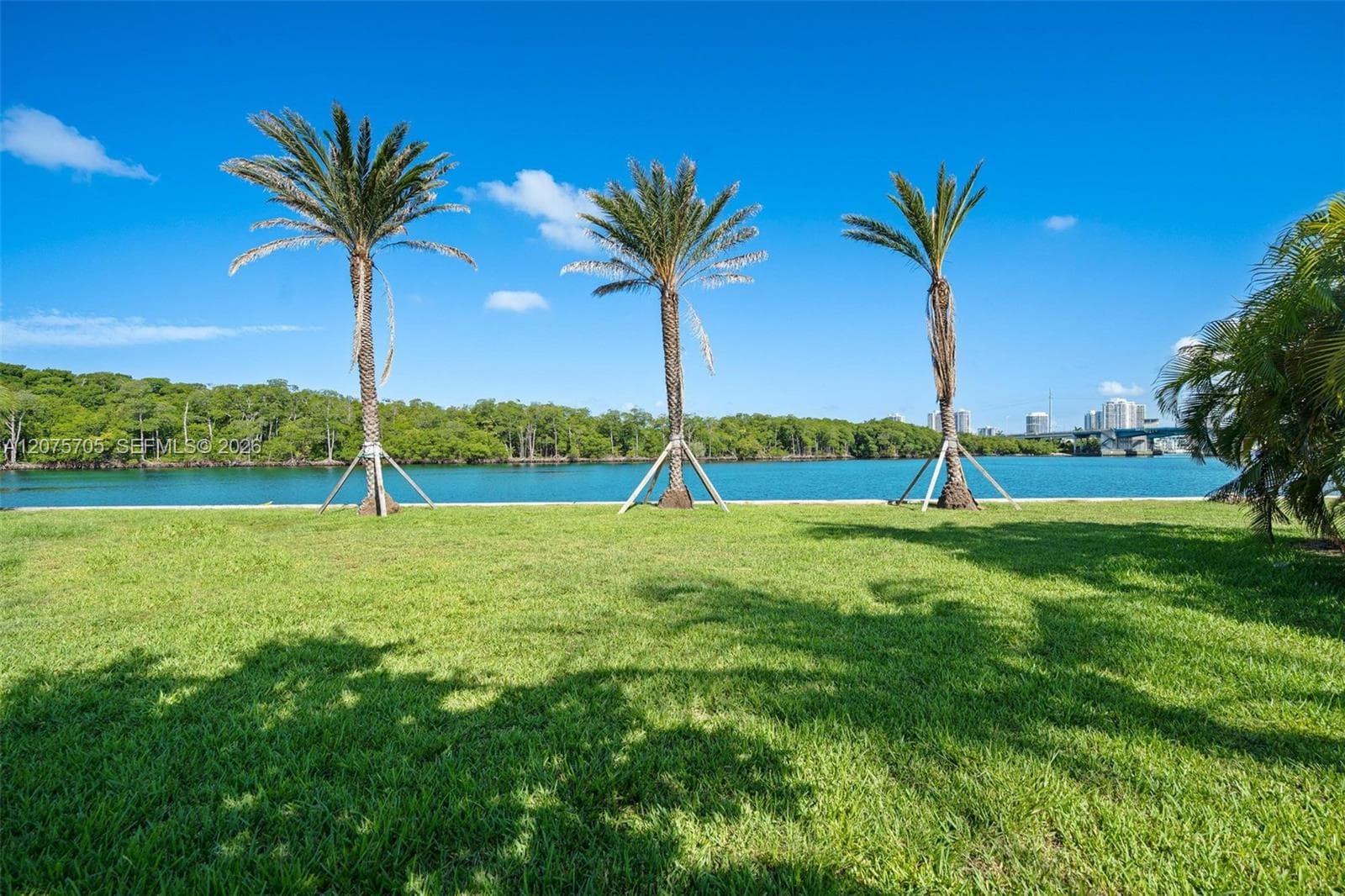 333 Atlantic Ave, Sunny Isles Beach, FL 33160 photo 4