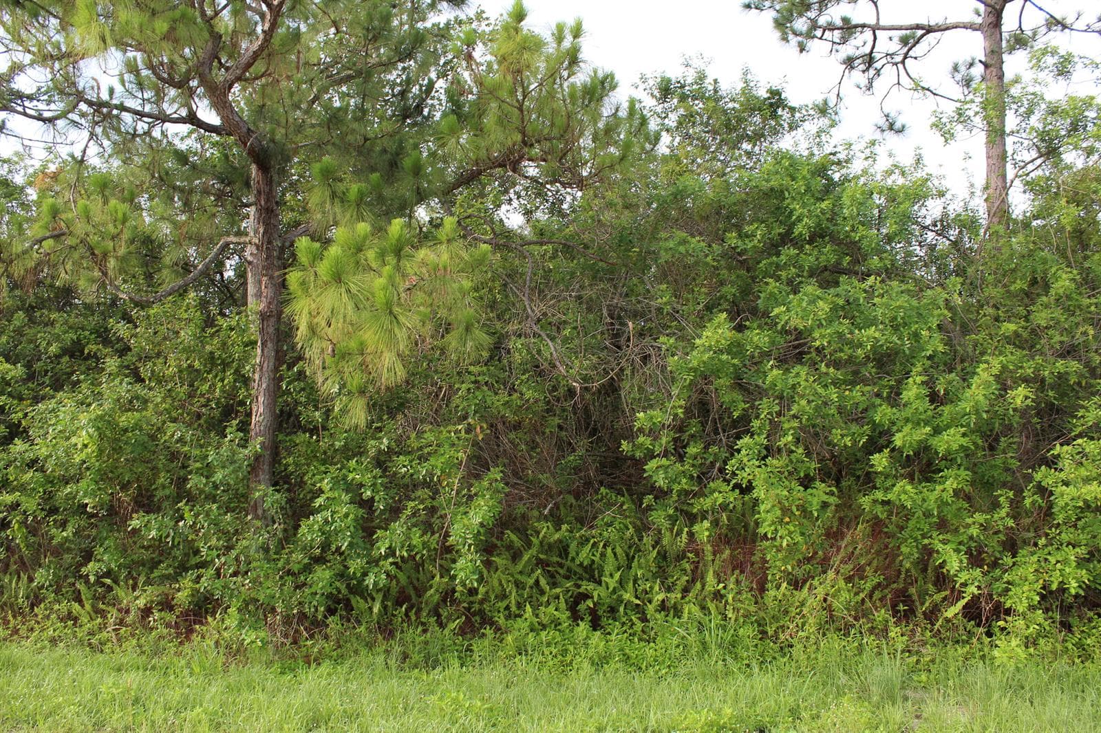 ''17992'' 94th Street N, Loxahatchee FL 33470
