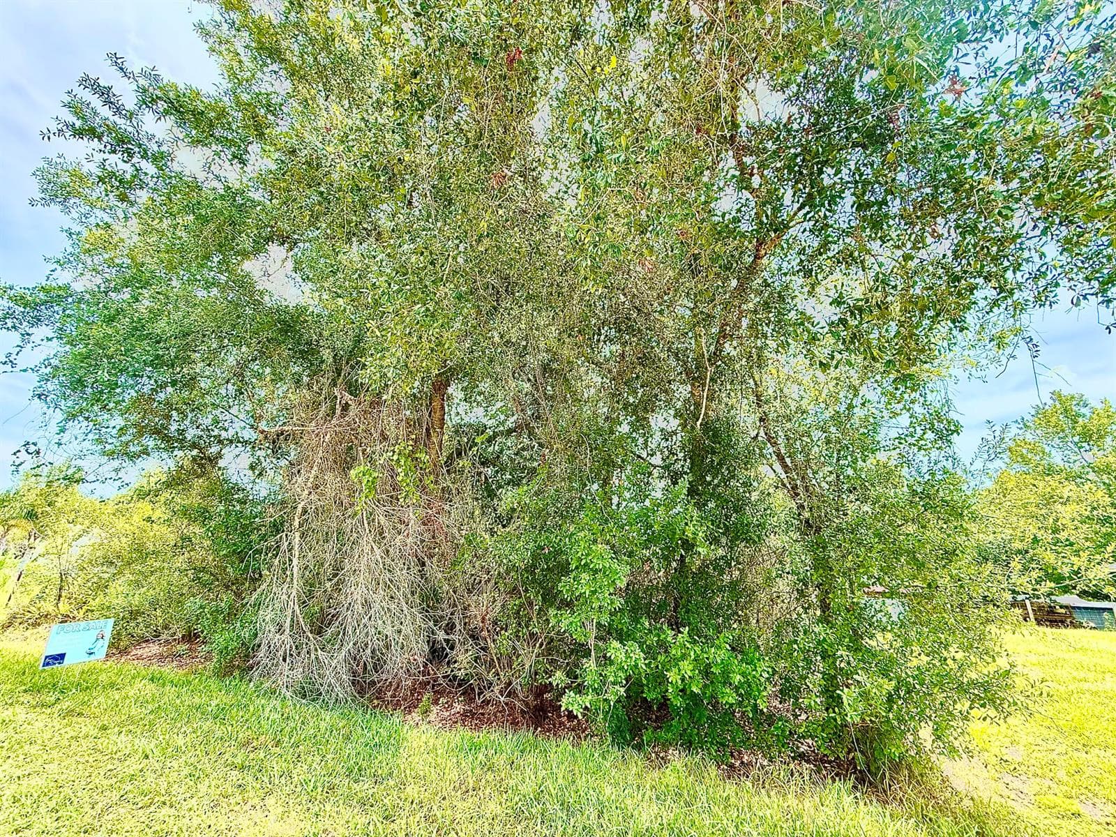 0 NE 2nd Terrace, Okeechobee FL 34972