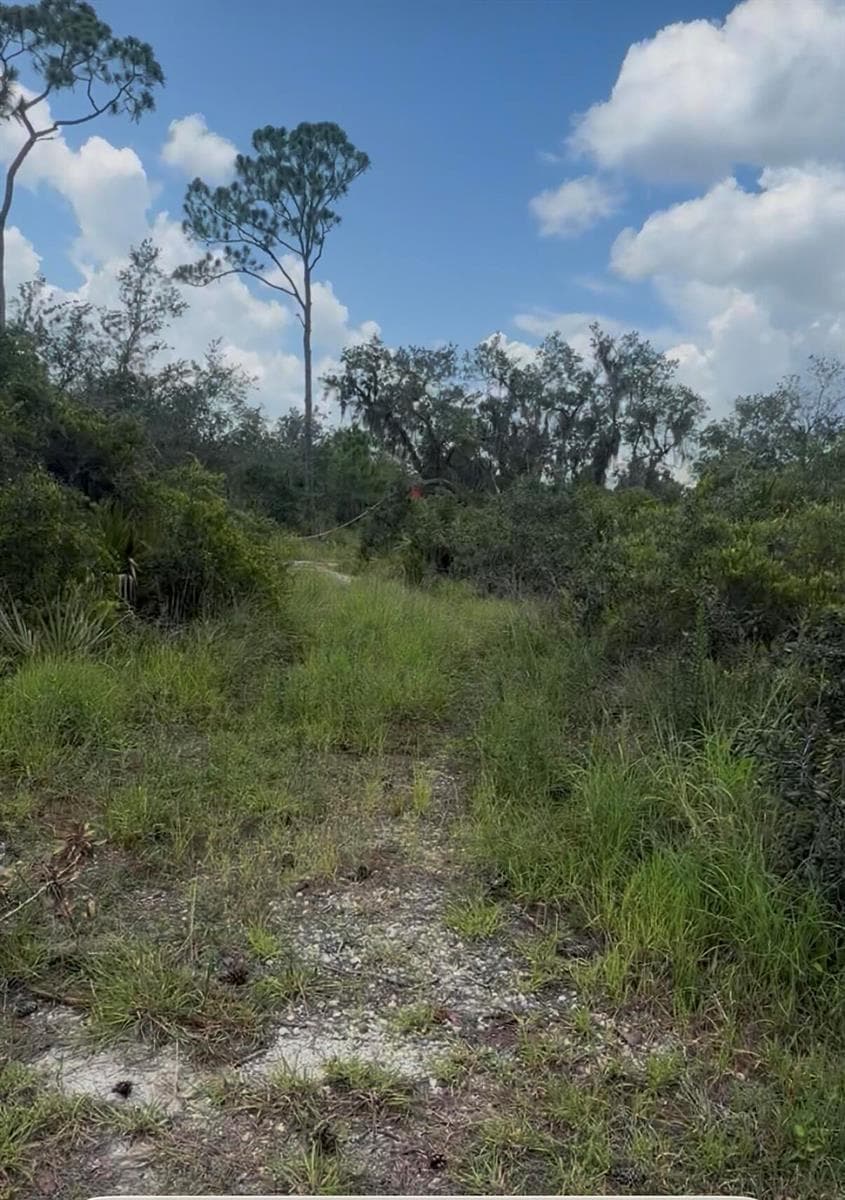 651 Mckinley Street, Lake Placid FL 33852
