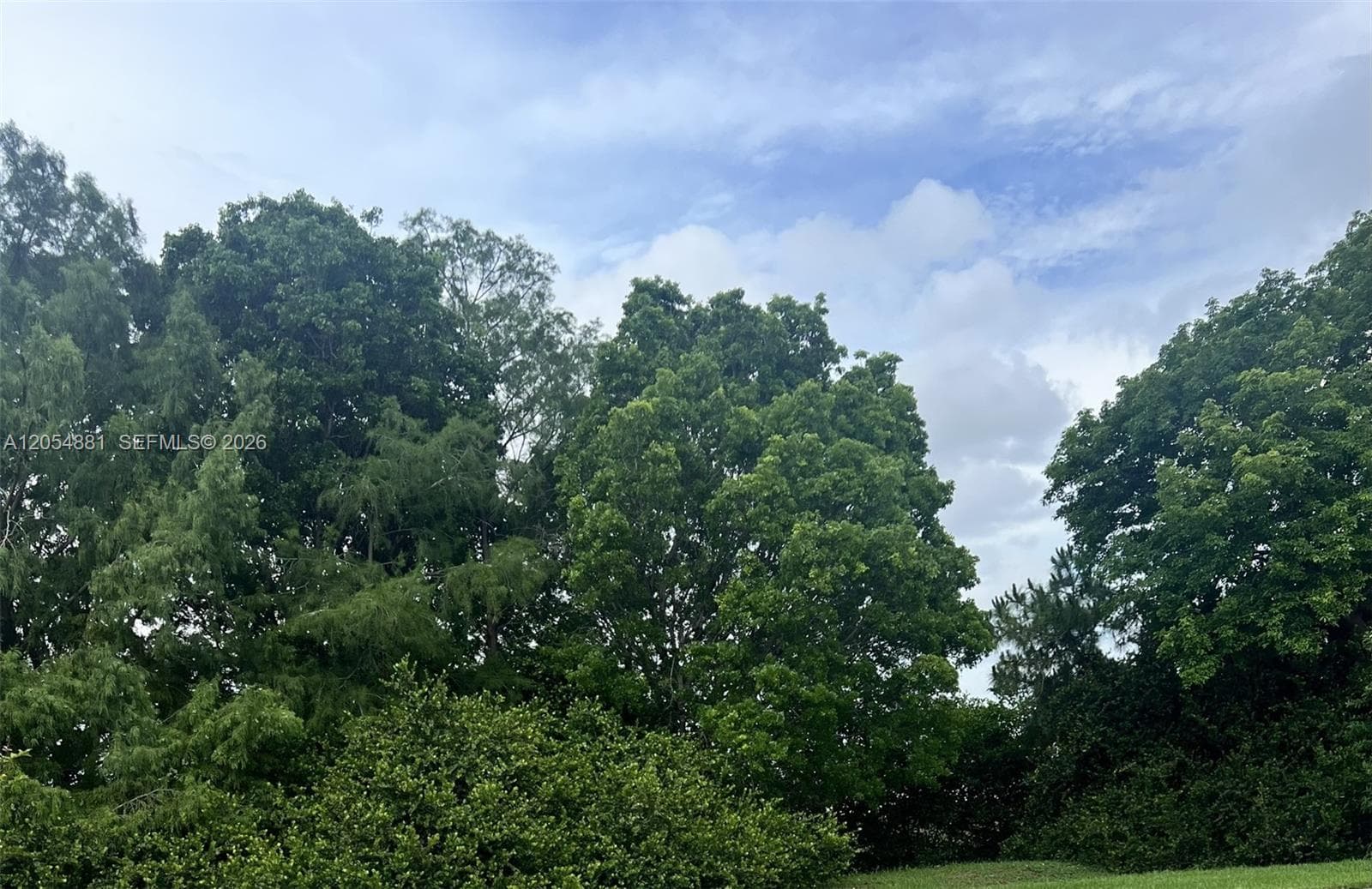 Listing