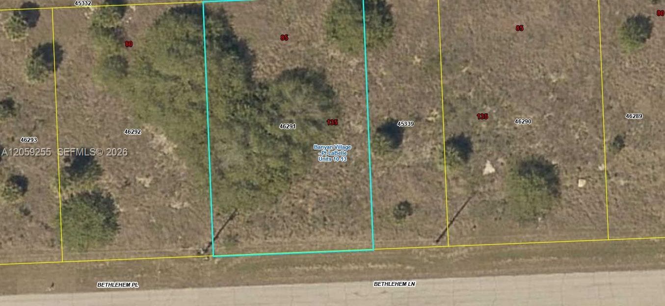 118 Bethlehem Pl, La Belle FL 33935