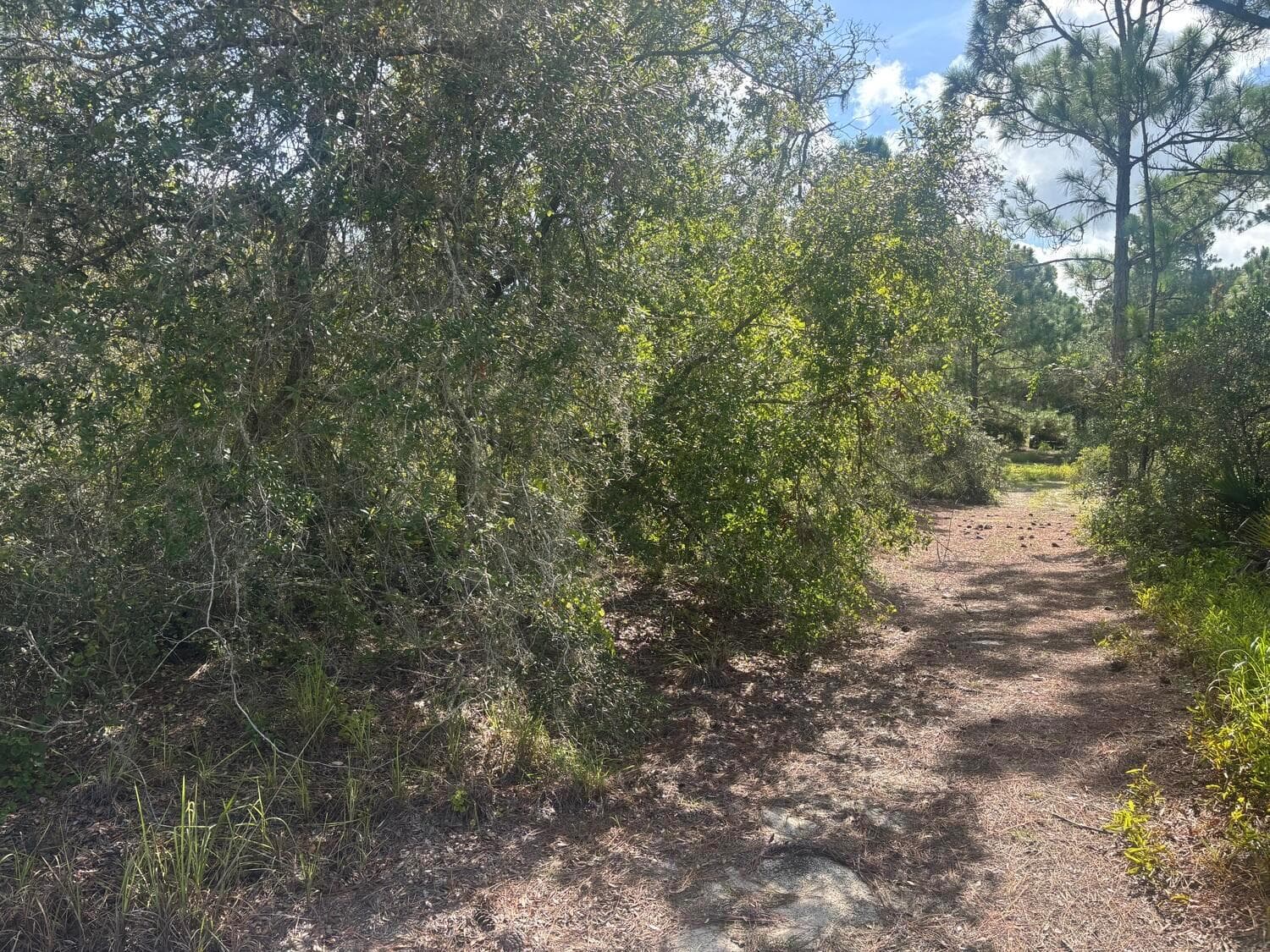 336 Stardust Avenue, Lake Placid FL 33852