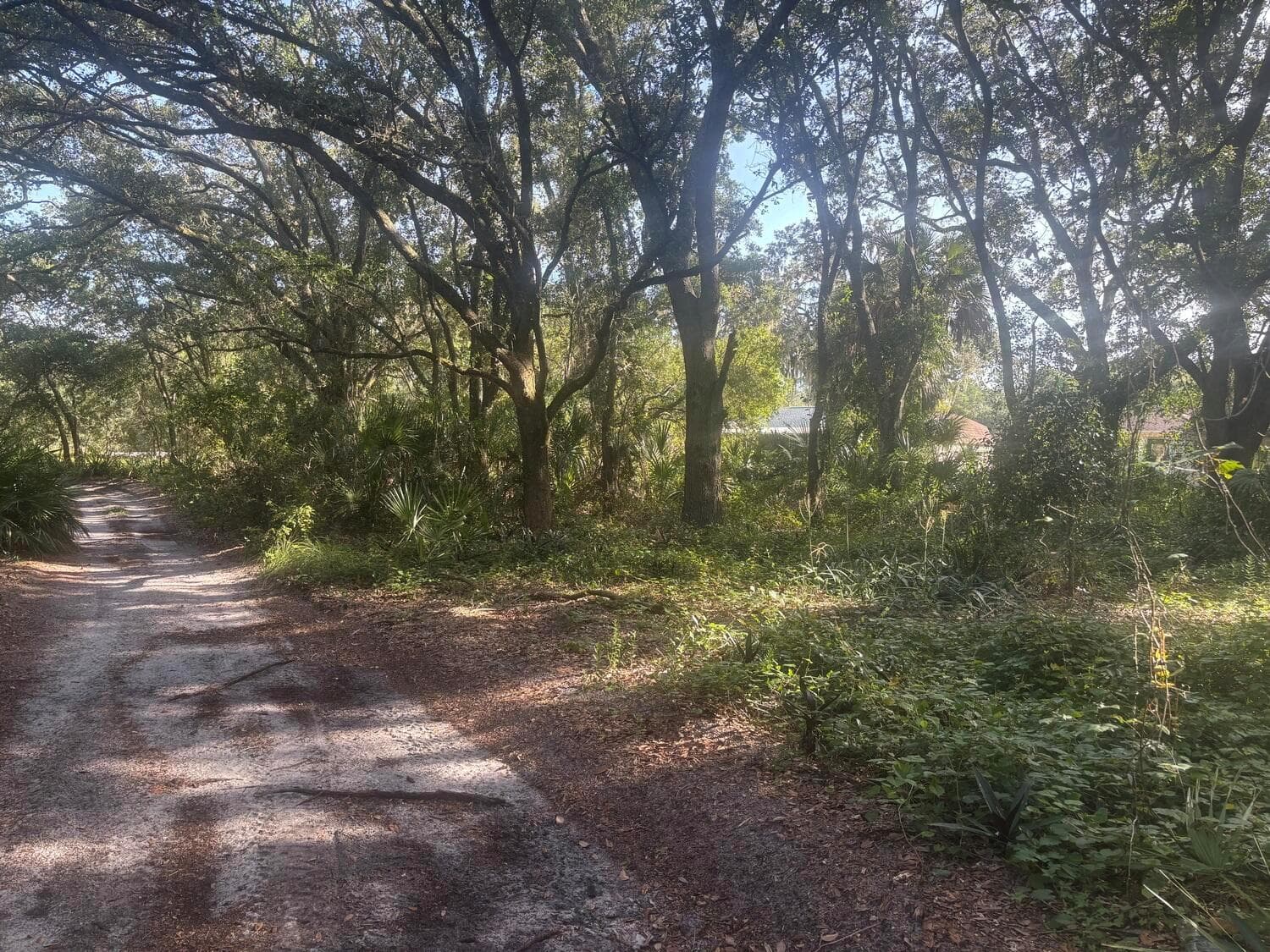 503 Pershing Avenue, Lake Placid FL 33852