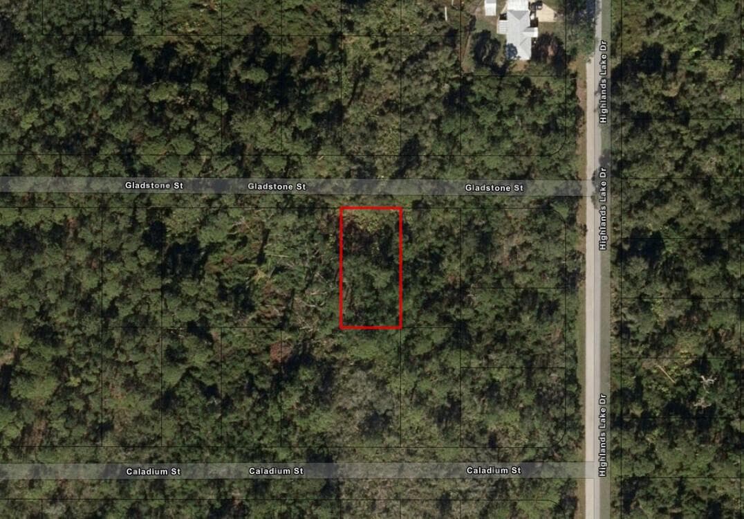 1521 Gladstone Street, Lake Placid FL 33852
