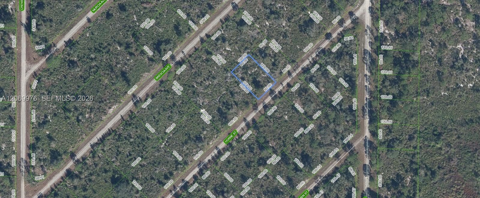 3451 Lake June, Lake Placid FL 33852