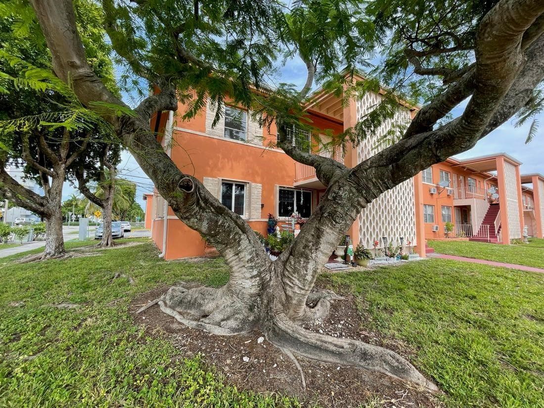3591 SW 10TH Street # 12B, Miami, FL 33135