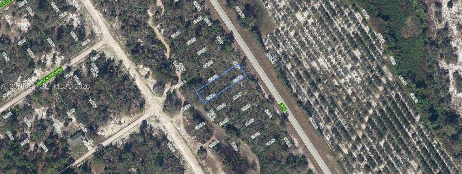 903 COUNTY ROAD 29, Lake Placid FL 33852