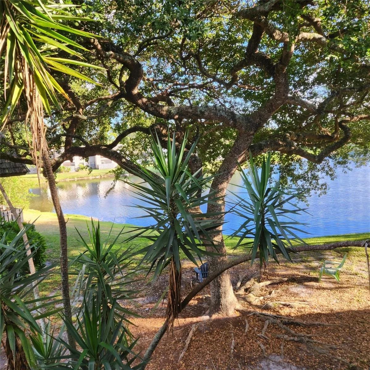 3634 NW 95th Terrace # 3634, Sunrise FL 33351