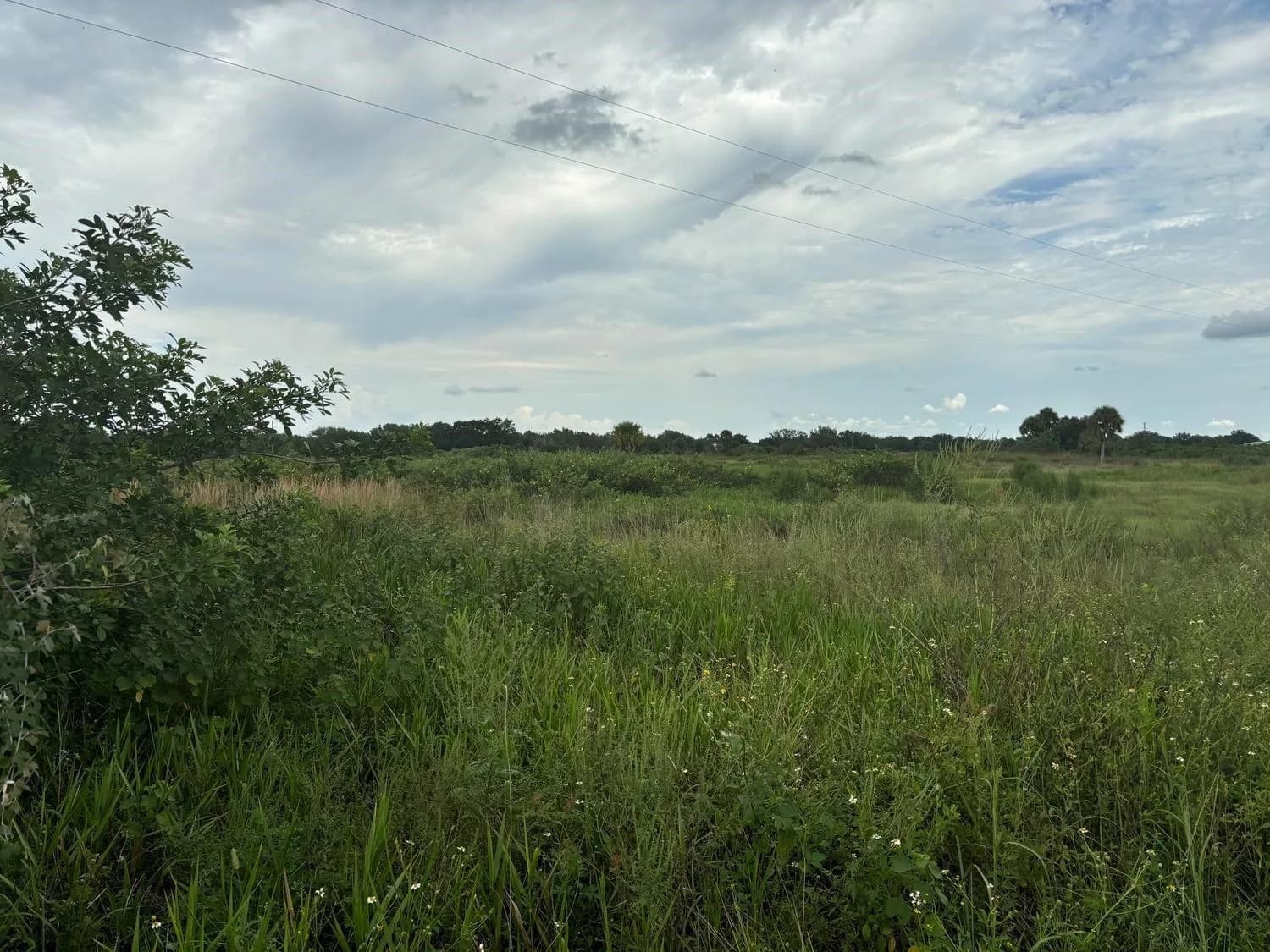 29800 NW 192nd Avenue, Okeechobee FL 34972