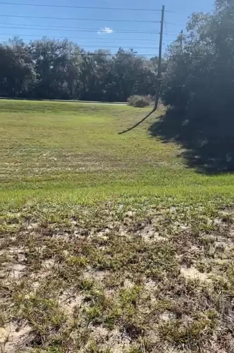 4017 SW 133rd Loop, Ocala FL 34473
