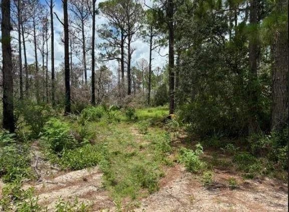 328 Claverton Drive, Lake Placid FL 33852