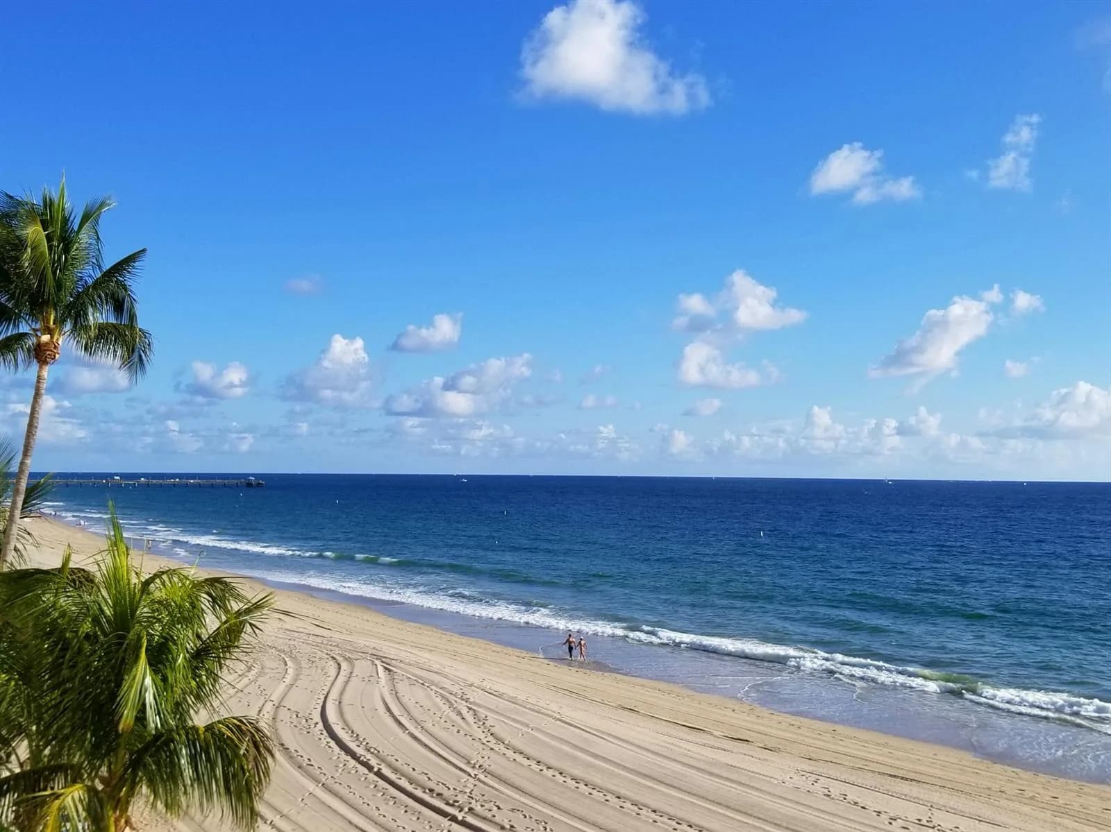 4280 Galt Ocean Drive # 8 L, Fort Lauderdale FL 33308